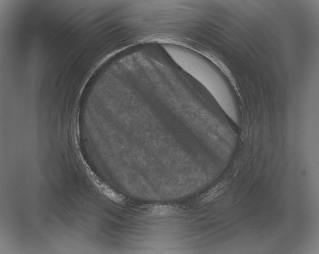 X0000082180984200702092305