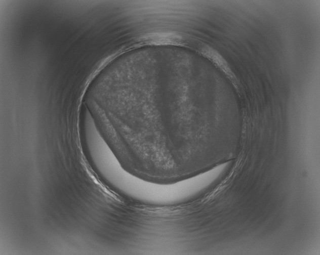 X0000082180986200702092305