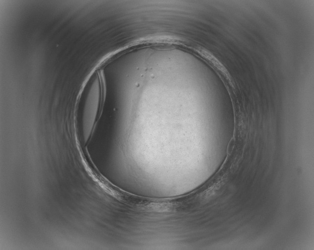X0000082180989200702092305