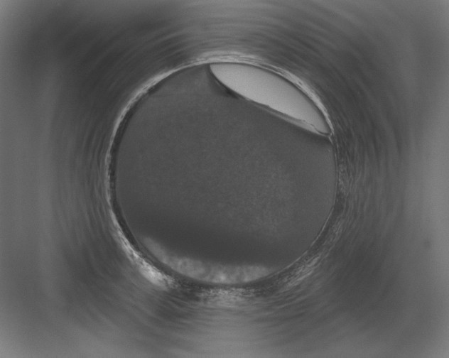 X0000082180995200702092305