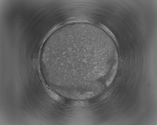 X0000082181002200702092304