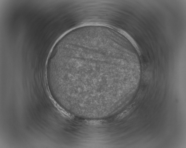 X0000082181004200702092304