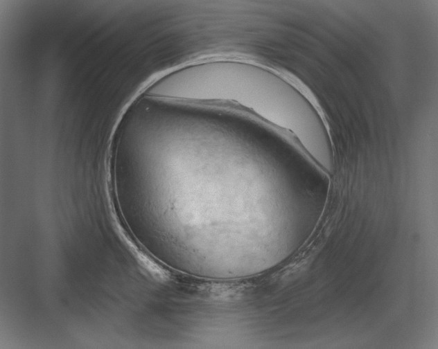 X0000082181005200702092304