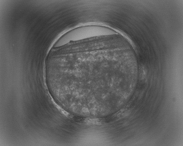 X0000082181006200702092304