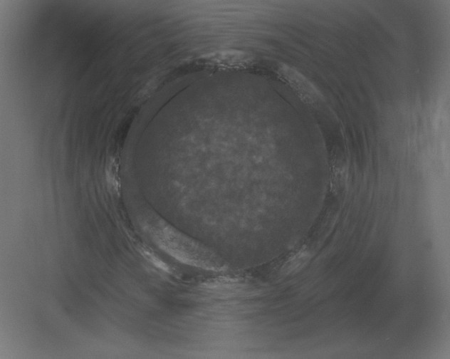 X0000082181010200702092304