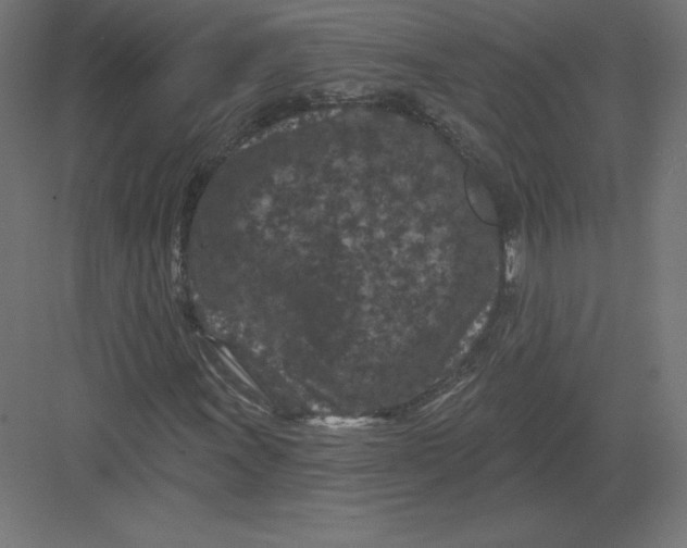 X0000082181011200702092304