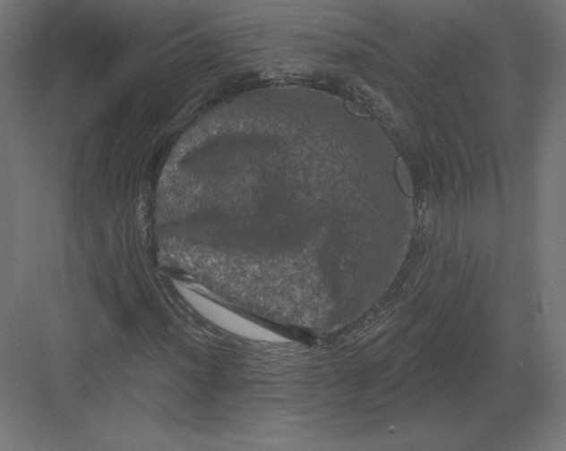 X0000082181012200702092304