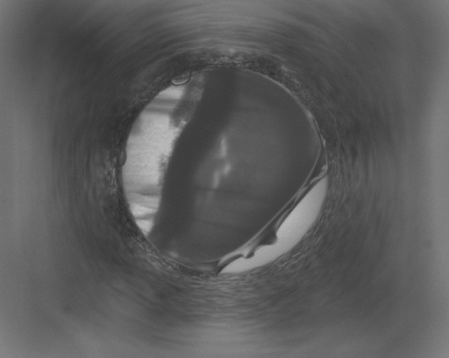 X0000082181013200702092304