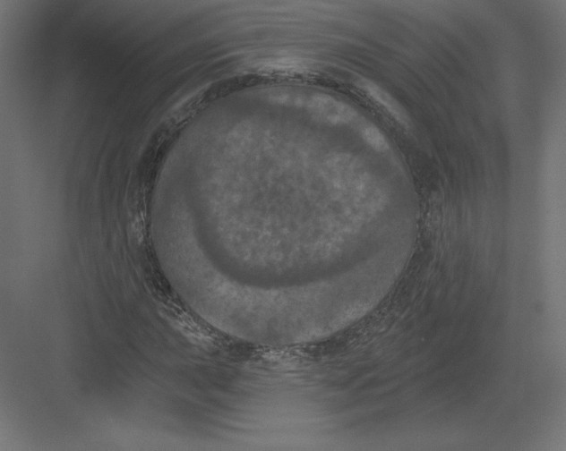 X0000082181015200702092304
