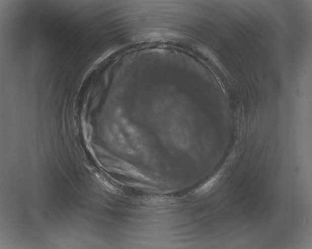 X0000082181018200702092304