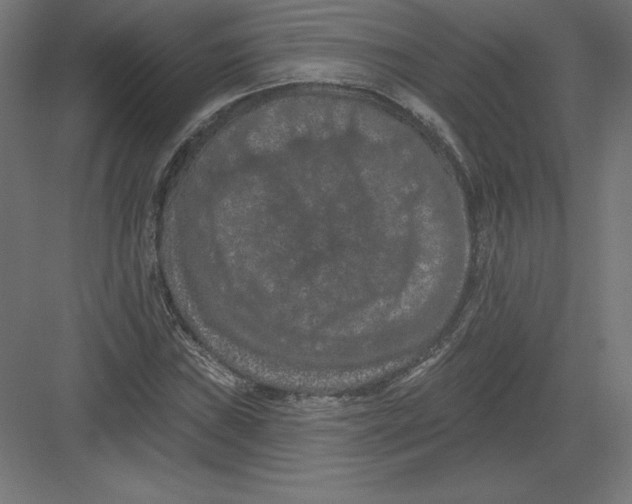 X0000082181019200702092304