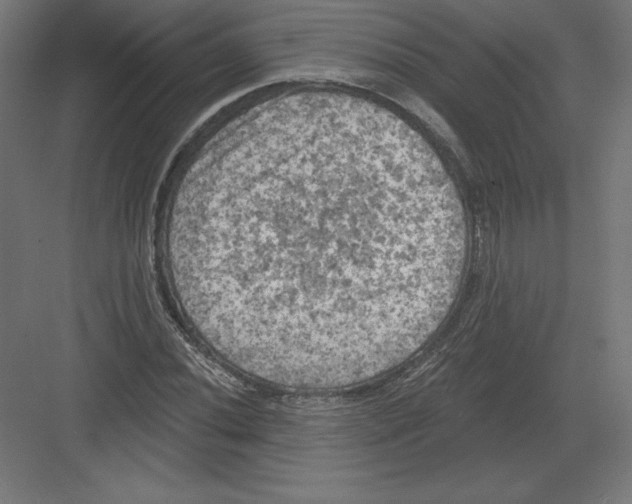 X0000082181020200702092304