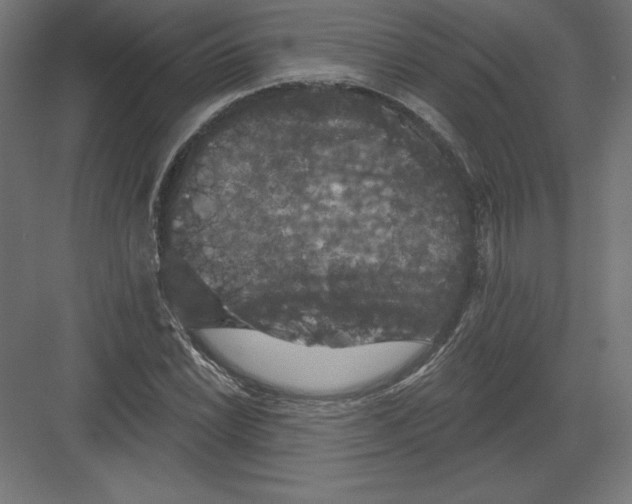 X0000082181022200702092304