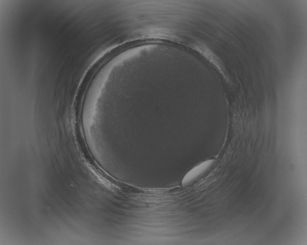 X0000082181024200702092304