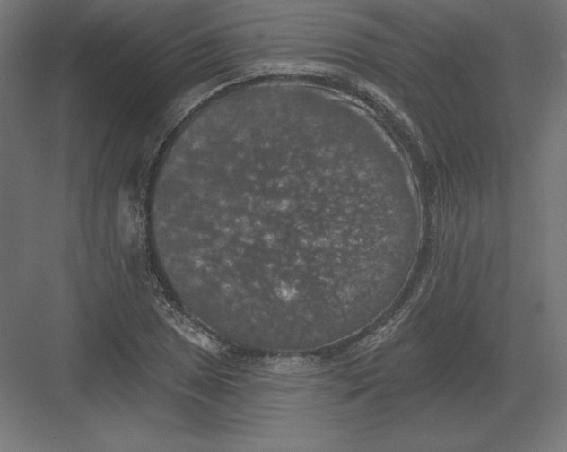 X0000082181025200702092304