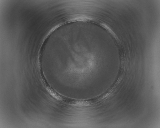 X0000082181026200702092304
