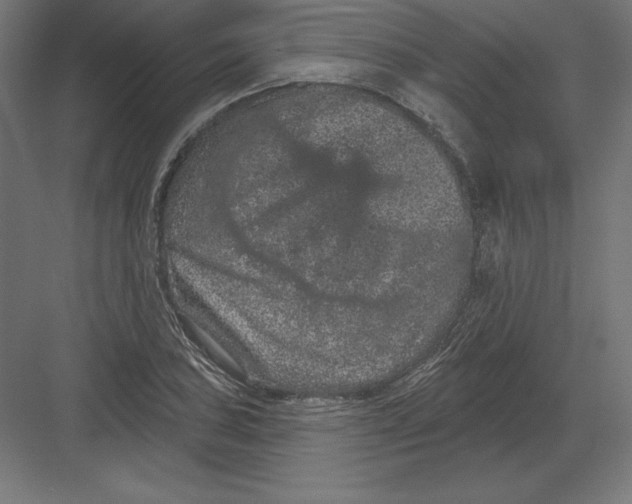X0000082181027200702092304