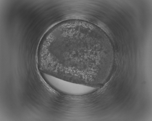 X0000082181028200702092304