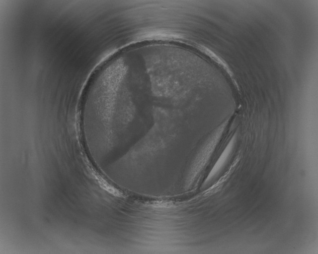 X0000082181029200702092304