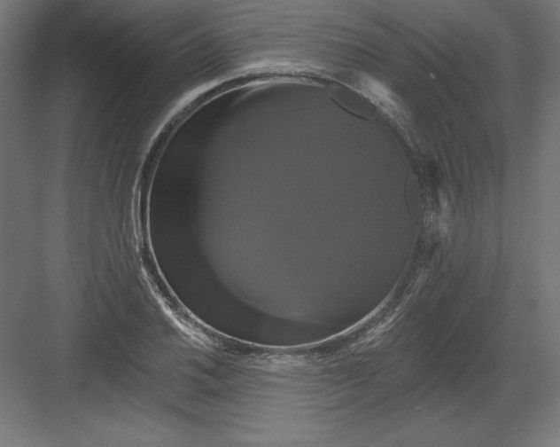 X0000082181030200702092304