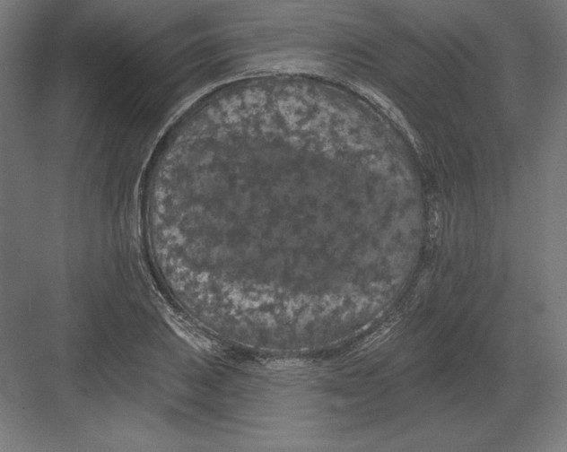X0000082181031200702092304