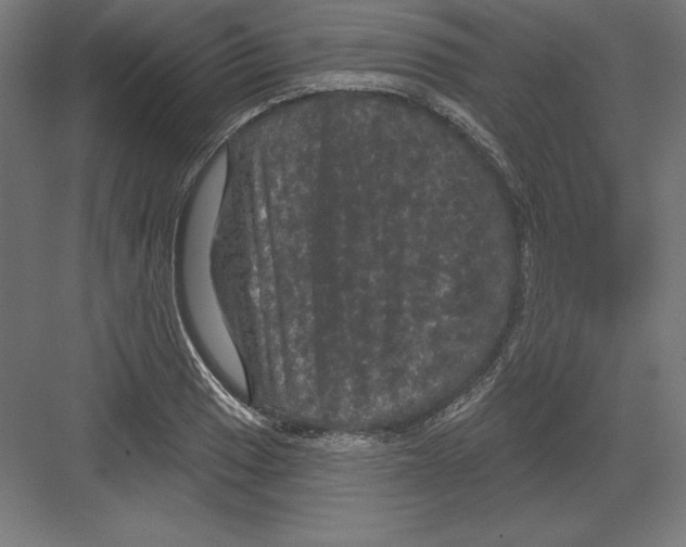 X0000082181033200702092304