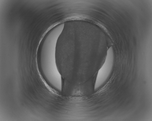 X0000082181034200702092304