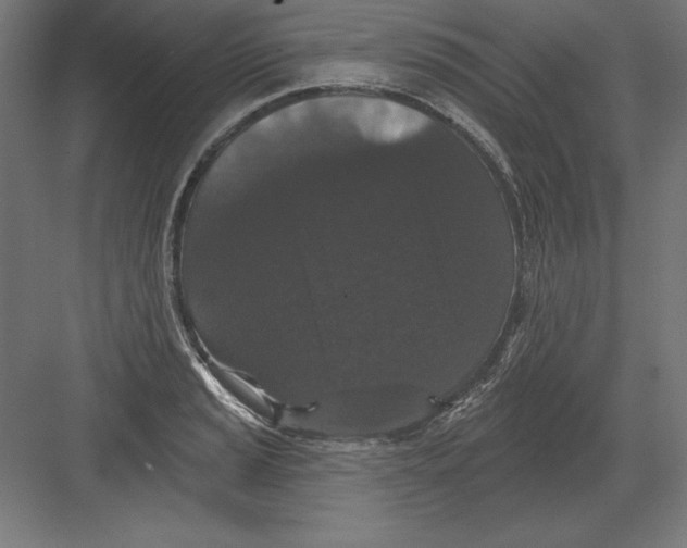 X0000082181037200702092304