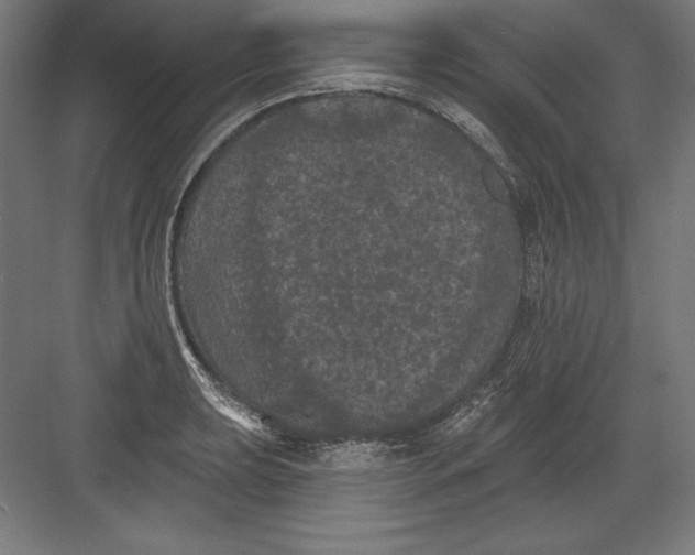 X0000082181039200702092304