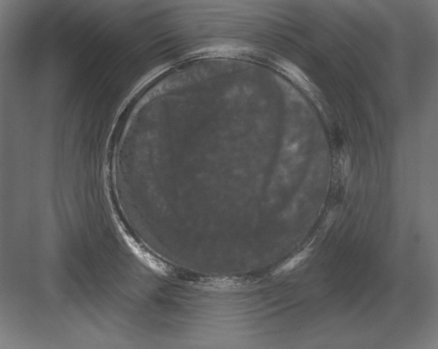 X0000082181042200702092304