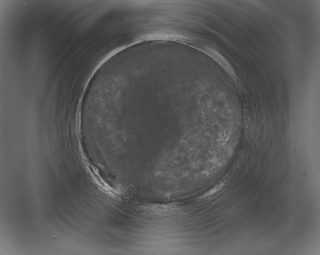 X0000082181044200702092304