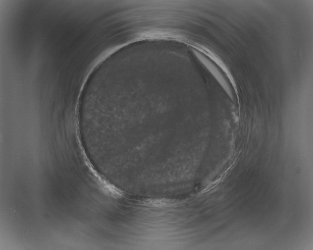 X0000082181045200702092304