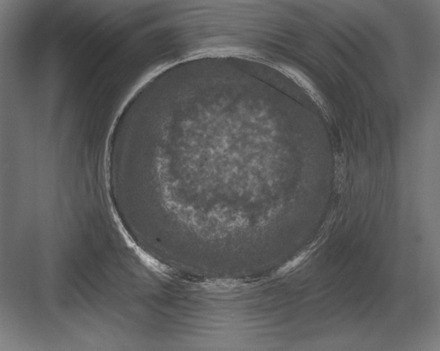X0000082181046200702092304