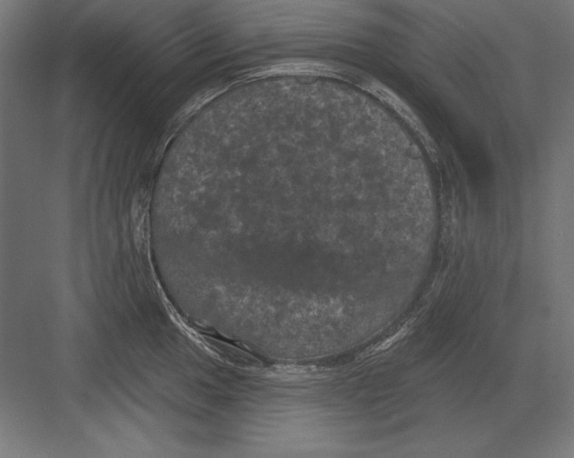 X0000082181049200702092304