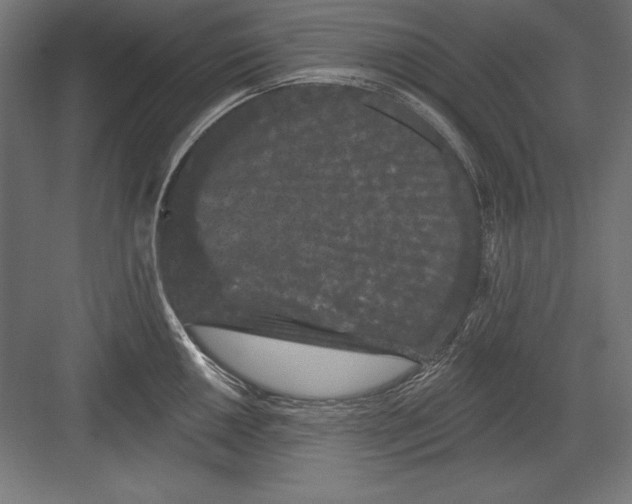 X0000082181050200702092304
