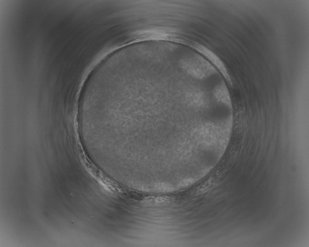 X0000082181051200702092304