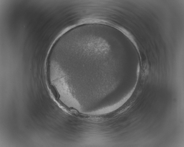 X0000082181053200702092304