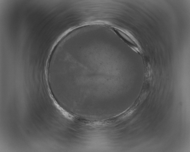 X0000082181054200702092304