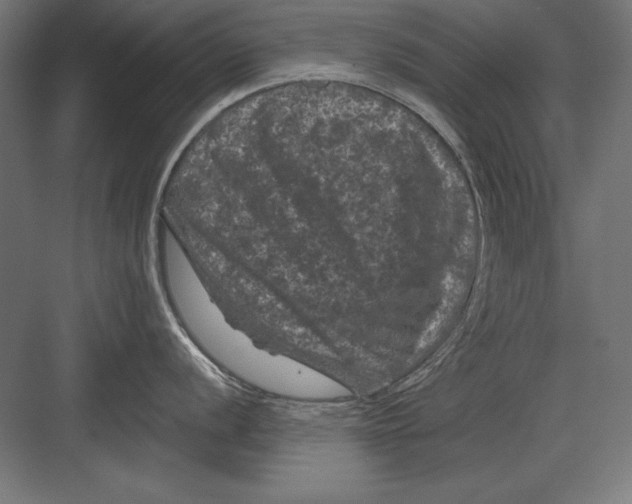 X0000082181056200702092304