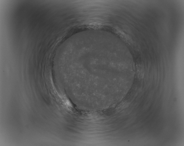 X0000082181057200702092304