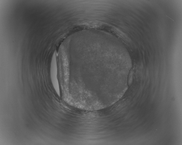 X0000082181058200702092304