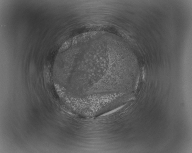 X0000082181059200702092304