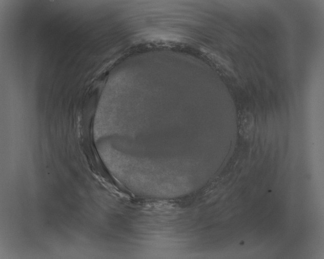 X0000082181061200702092303