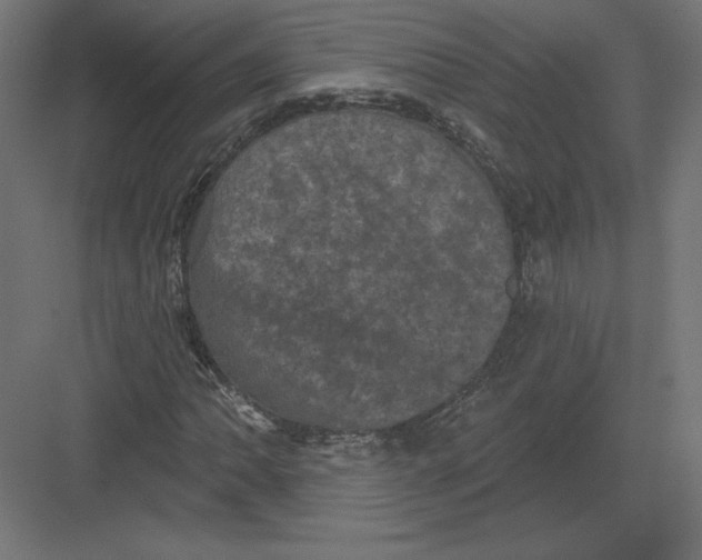 X0000082181062200702092303