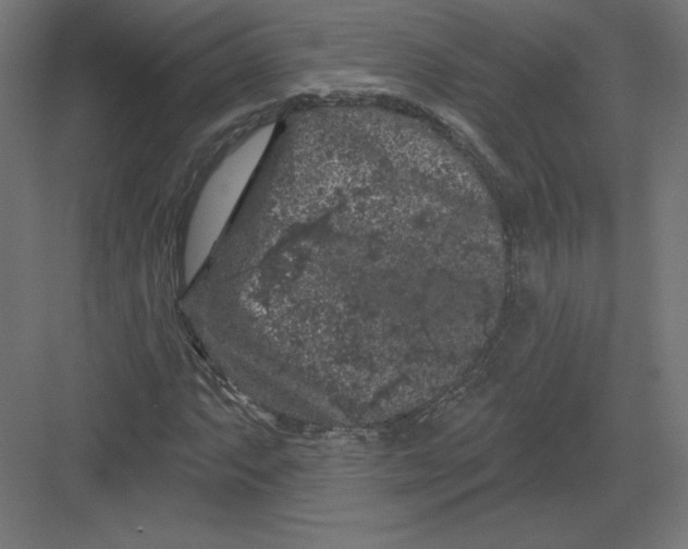 X0000082181063200702092303