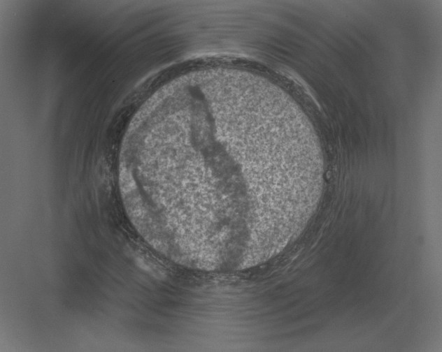 X0000082181064200702092303