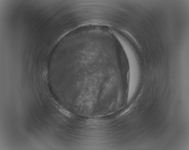 X0000082181065200702092303