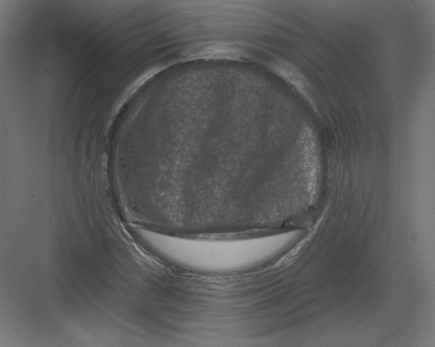 X0000082181066200702092303