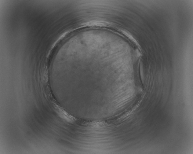 X0000082181067200702092303