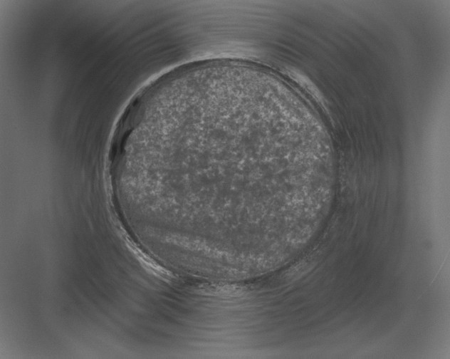 X0000082181072200702092303